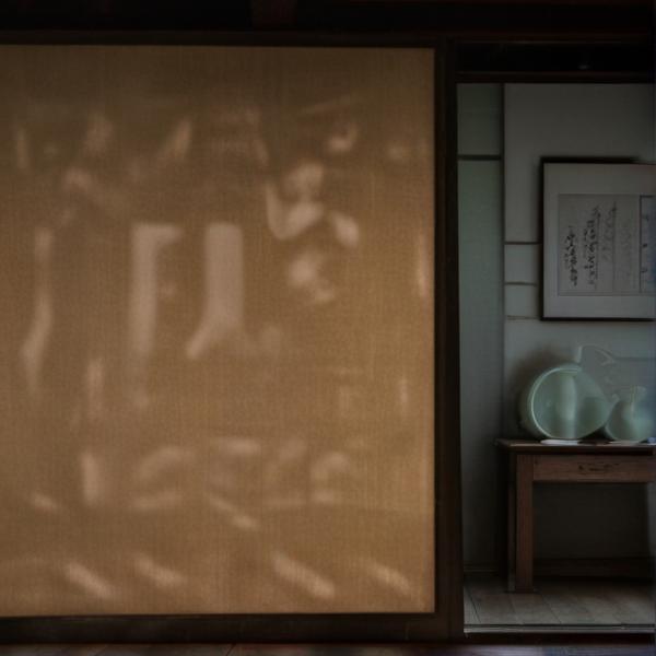 盾 - 更多图片 (More Images) (modelslab_artistic_v2)